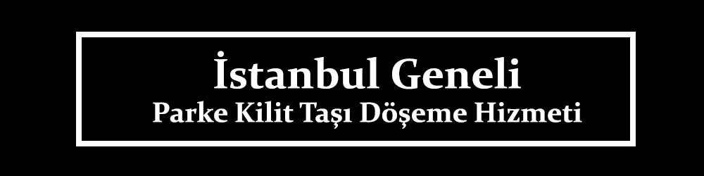 parke taşı kilit taşı döşeme işleri yapan firmalar